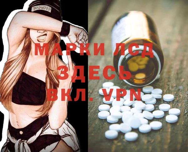 индика Алзамай