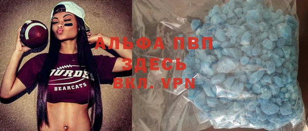 индика Алзамай