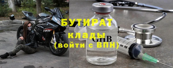 индика Алзамай