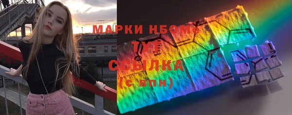 индика Алзамай