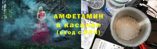 индика Алзамай